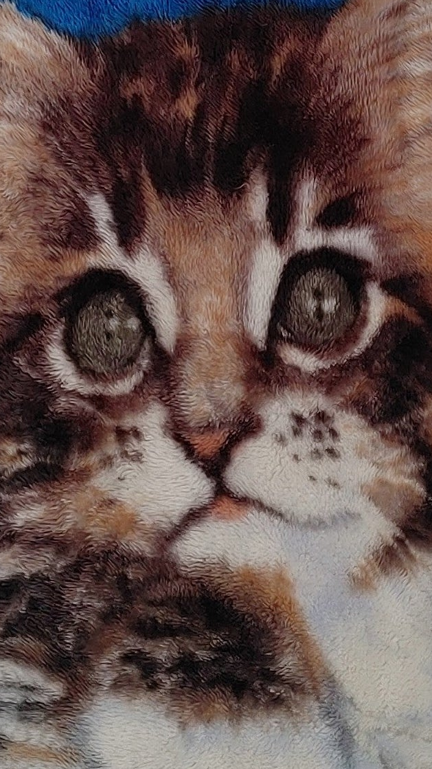 Hoodie « Chat gris #2 », XL