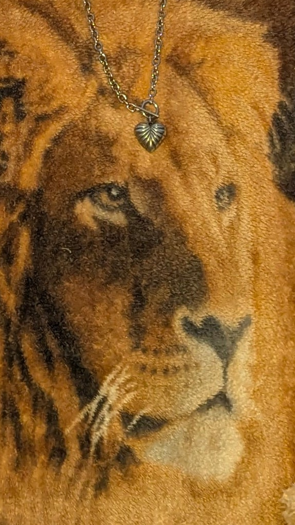 Hoodie « Lion », XL