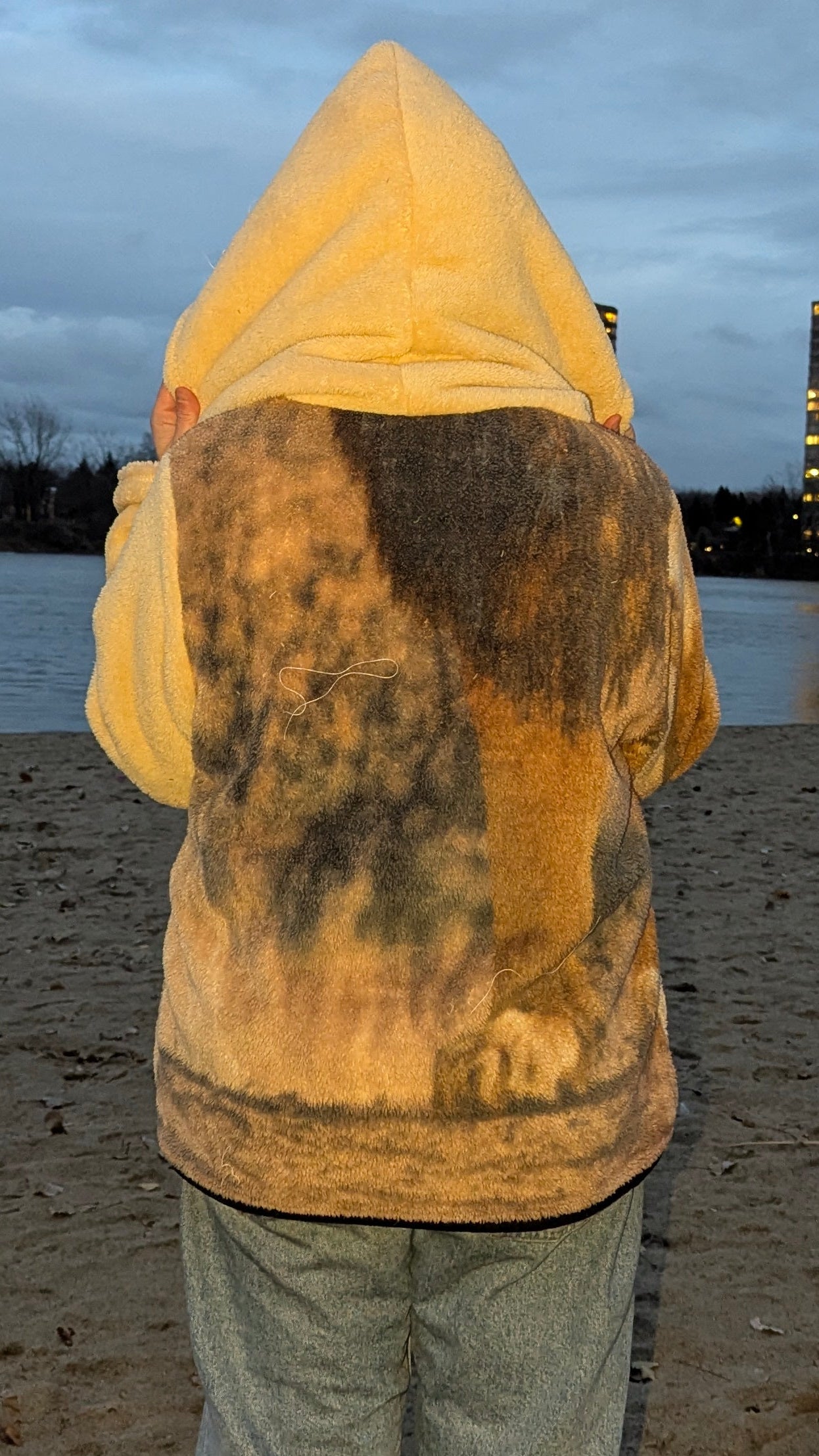 Hoodie « Lion », XL