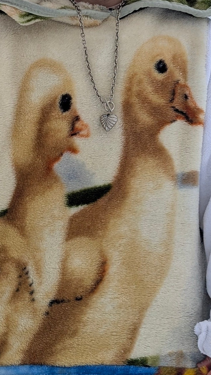 Hoodie « Poussins », XL