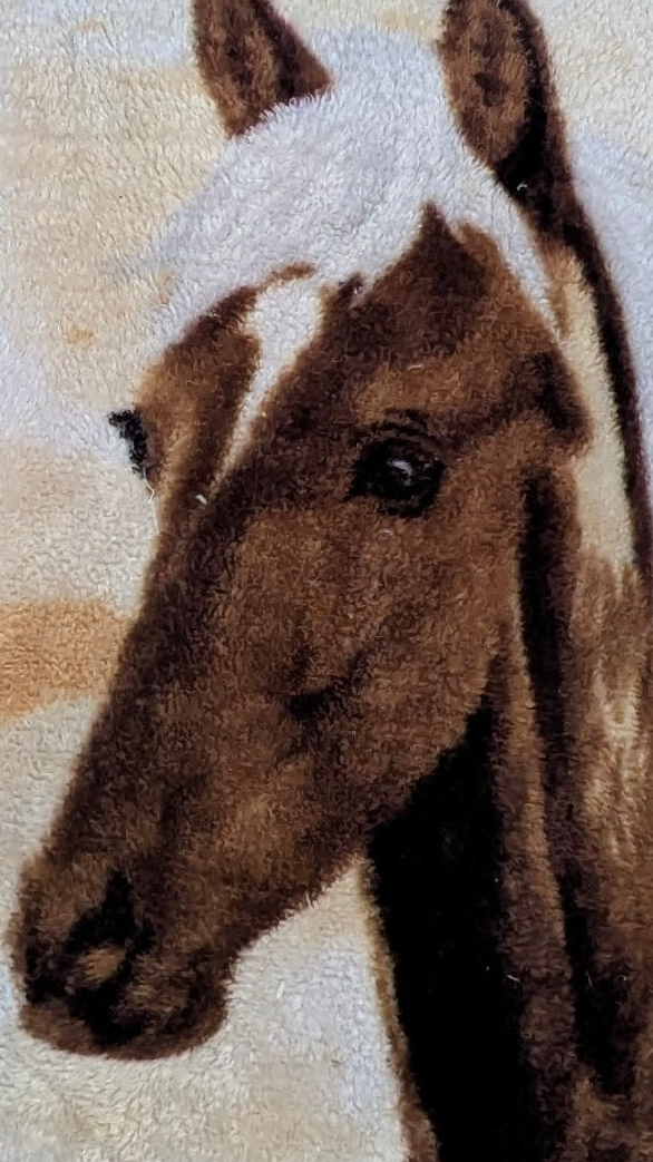 Hoodie « Cheval », XL